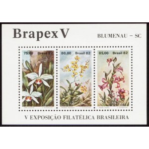 B-051 - BRAPEX V